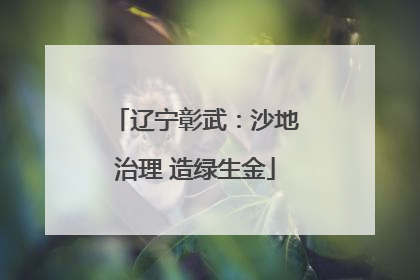 辽宁彰武：沙地治理 造绿生金