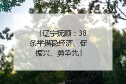 辽宁抚顺：38条举措稳经济、促振兴、勇争先