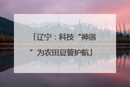 辽宁：科技“神器”为农田夏管护航