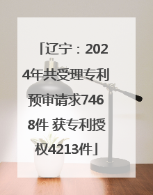 辽宁：2024年共受理专利预审请求7468件 获专利授权4213件