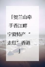 贺兰山牵手香江畔 宁夏特产“走红”香港