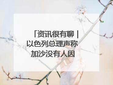 资讯很有聊｜以色列总理声称 加沙没有人因饥饿而消瘦