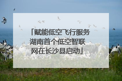 赋能低空飞行服务 湖南首个低空智联网在长沙县启动