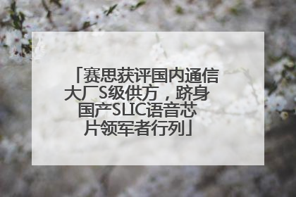 赛思获评国内通信大厂S级供方，跻身国产SLIC语音芯片领军者行列