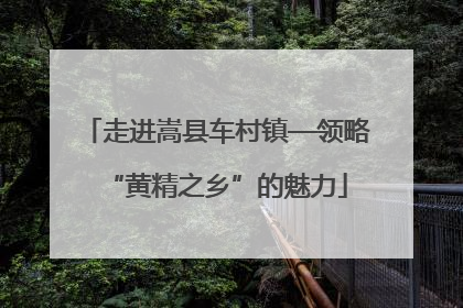 走进嵩县车村镇—领略“黄精之乡”的魅力