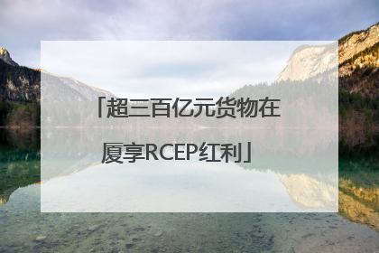 超三百亿元货物在厦享RCEP红利
