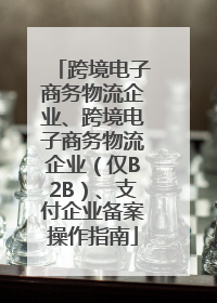 跨境电子商务物流企业、跨境电子商务物流企业（仅B2B）、支付企业备案操作指南