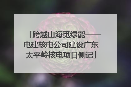 跨越山海觅绿能——电建核电公司建设广东太平岭核电项目侧记