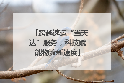 跨越速运“当天达”服务，科技赋能物流新速度
