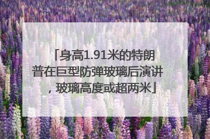 身高1.91米的特朗普在巨型防弹玻璃后演讲，玻璃高度或超两米