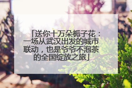 送你十万朵栀子花：一场从武汉出发的城市联动，也是爷爷不泡茶的全国绽放之旅