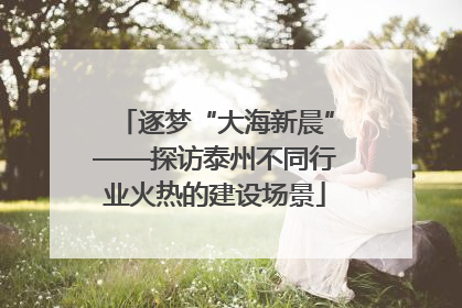 逐梦“大海新晨”——探访泰州不同行业火热的建设场景