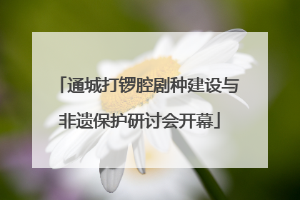 通城打锣腔剧种建设与非遗保护研讨会开幕