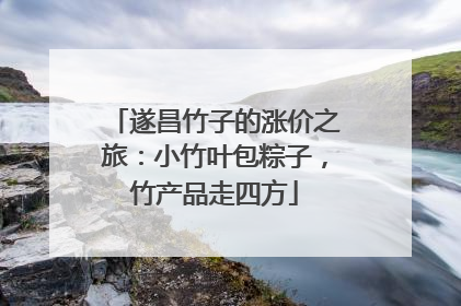 遂昌竹子的涨价之旅：小竹叶包粽子，竹产品走四方
