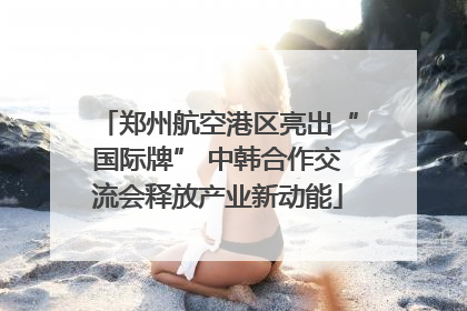 郑州航空港区亮出“国际牌” 中韩合作交流会释放产业新动能