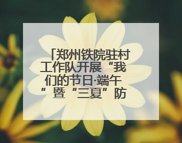 郑州铁院驻村工作队开展“我们的节日·端午”暨“三夏”防火宣传活动