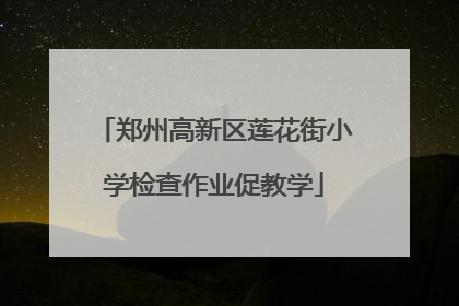 郑州高新区莲花街小学检查作业促教学