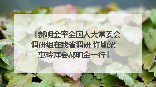 郝明金率全国人大常委会调研组在我省调研 许勤梁惠玲拜会郝明金一行