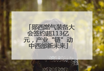 郧西燃气装备大会签约超113亿元，产业“链”动中西部新未来