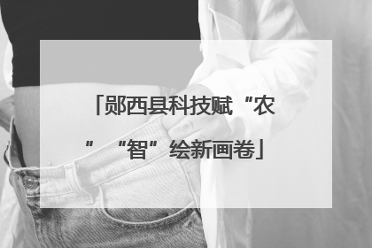 郧西县科技赋“农”“智”绘新画卷