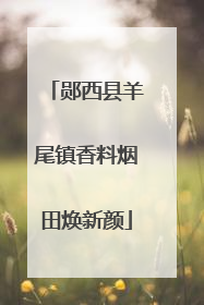 郧西县羊尾镇香料烟田焕新颜