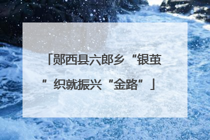 郧西县六郎乡“银茧”织就振兴“金路”