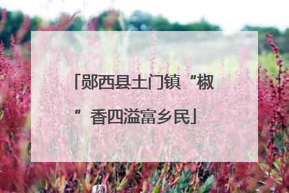 郧西县土门镇“椒”香四溢富乡民
