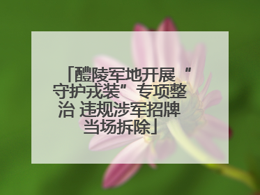 醴陵军地开展“守护戎装”专项整治 违规涉军招牌当场拆除