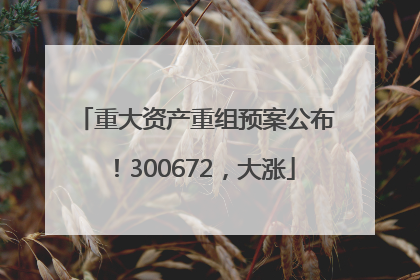 重大资产重组预案公布！300672，大涨