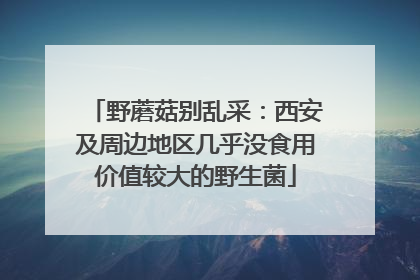 野蘑菇别乱采：西安及周边地区几乎没食用价值较大的野生菌