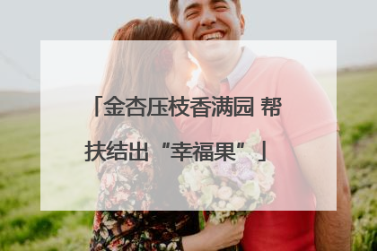 金杏压枝香满园 帮扶结出“幸福果”