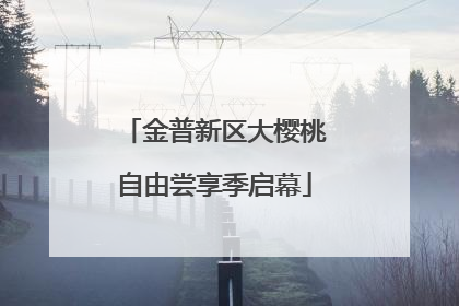 金普新区大樱桃自由尝享季启幕