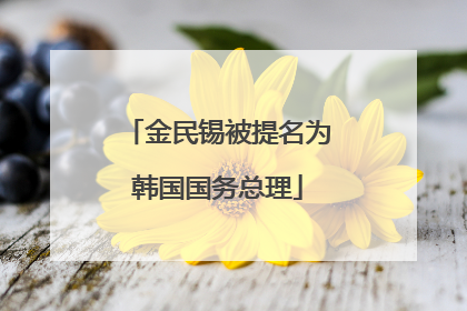 金民锡被提名为韩国国务总理