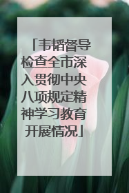 韦韬督导检查全市深入贯彻中央八项规定精神学习教育开展情况