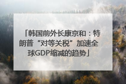 韩国前外长康京和：特朗普“对等关税”加速全球GDP缩减的趋势