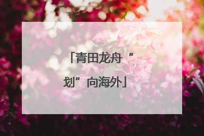 青田龙舟“划”向海外