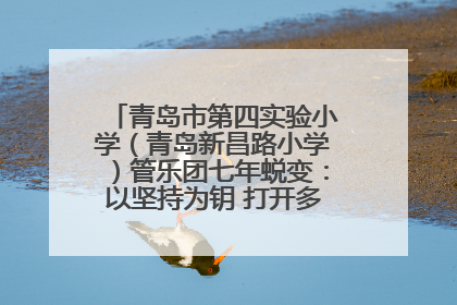 青岛市第四实验小学（青岛新昌路小学）管乐团七年蜕变：以坚持为钥 打开多元成长之门