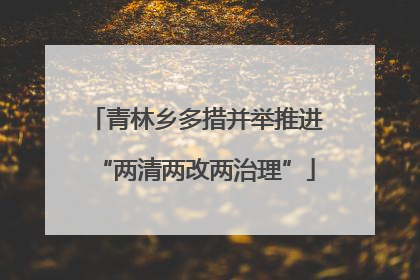 青林乡多措并举推进“两清两改两治理”
