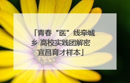 青春“医”线牵城乡 高校实践团解密宜昌育才样本