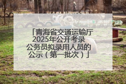 青海省交通运输厅2025年公开考录公务员拟录用人员的公示（第一批次）
