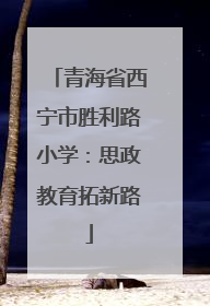 青海省西宁市胜利路小学：思政教育拓新路
