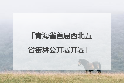 青海省首届西北五省街舞公开赛开赛