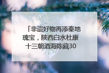 非遗好物再添秦地瑰宝，陕西白水杜康十三朝酒海陈藏30年别具一格