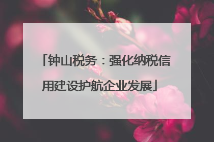 钟山税务：强化纳税信用建设护航企业发展