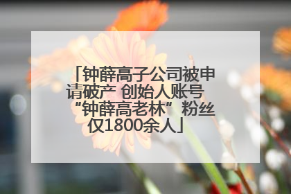 钟薛高子公司被申请破产 创始人账号“钟薛高老林”粉丝仅1800余人