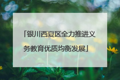 银川西夏区全力推进义务教育优质均衡发展