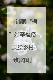 铺就“梅”好幸福路 共绘乡村致富图