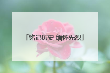 铭记历史 缅怀先烈