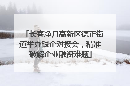 长春净月高新区德正街道举办银企对接会，精准破解企业融资难题