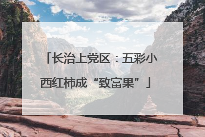 长治上党区：五彩小西红柿成“致富果”